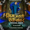 About Bhim Jayanti Ek Number Song